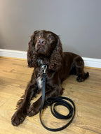 All Weather Collar (Classic Metal Buckle) - Black