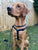 All Weather Harness - Black