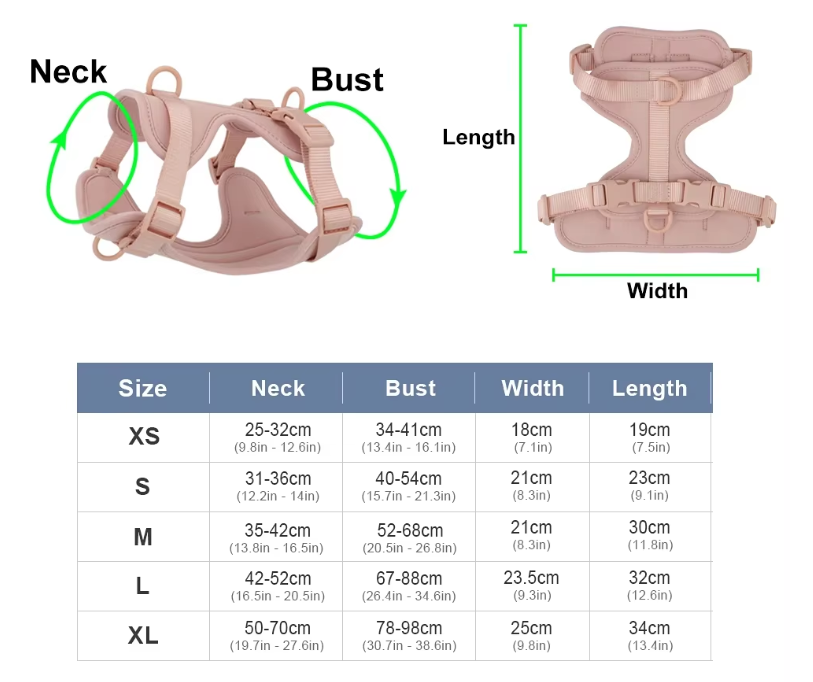 The Explorer Harness