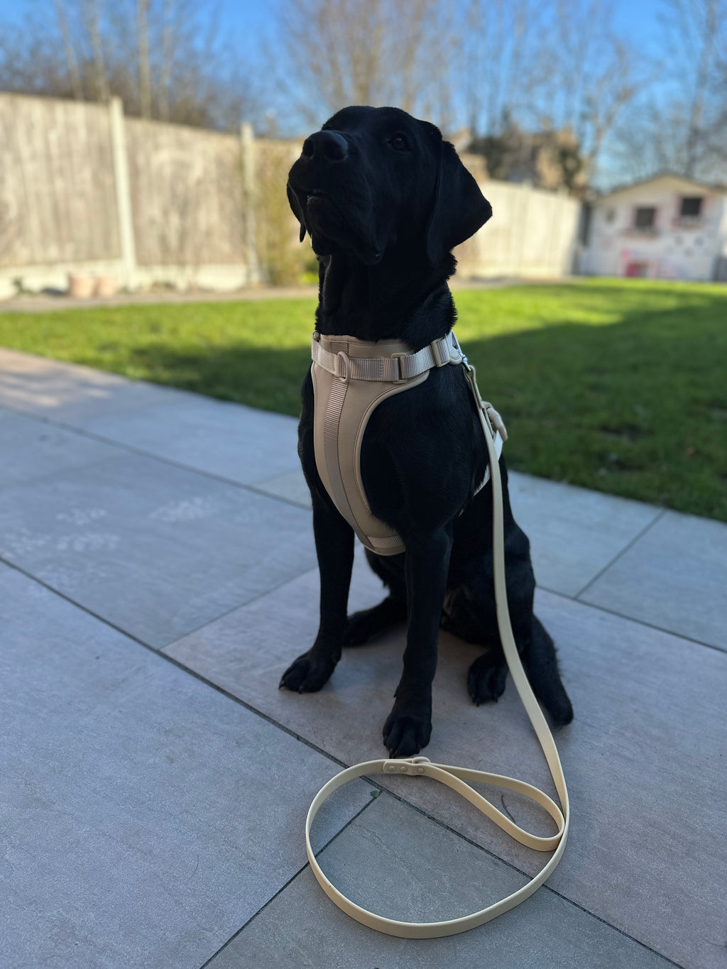 The Explorer Harness