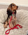 All Weather Collar (Classic Metal Buckle) - Red