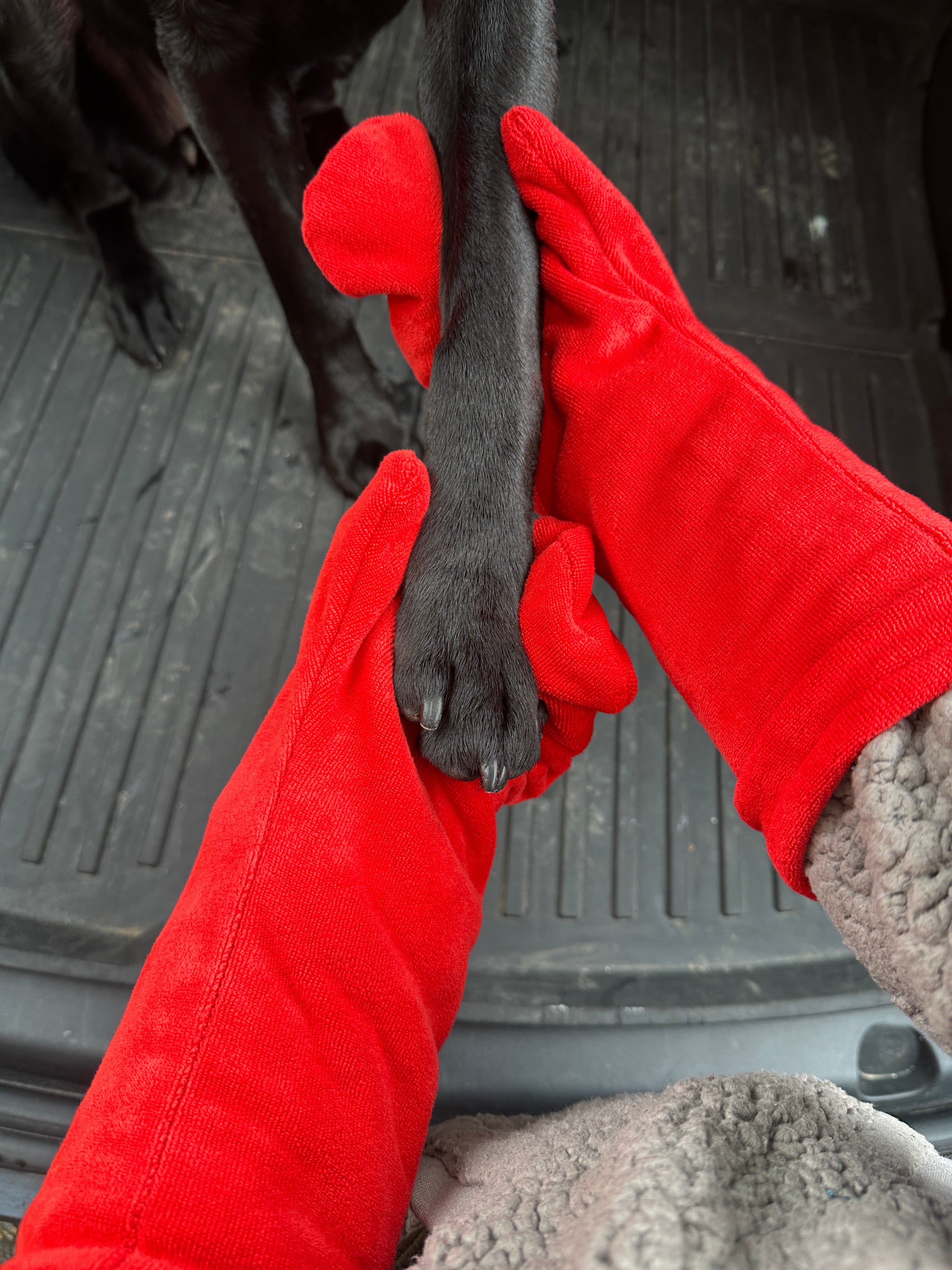 Drying Mitts