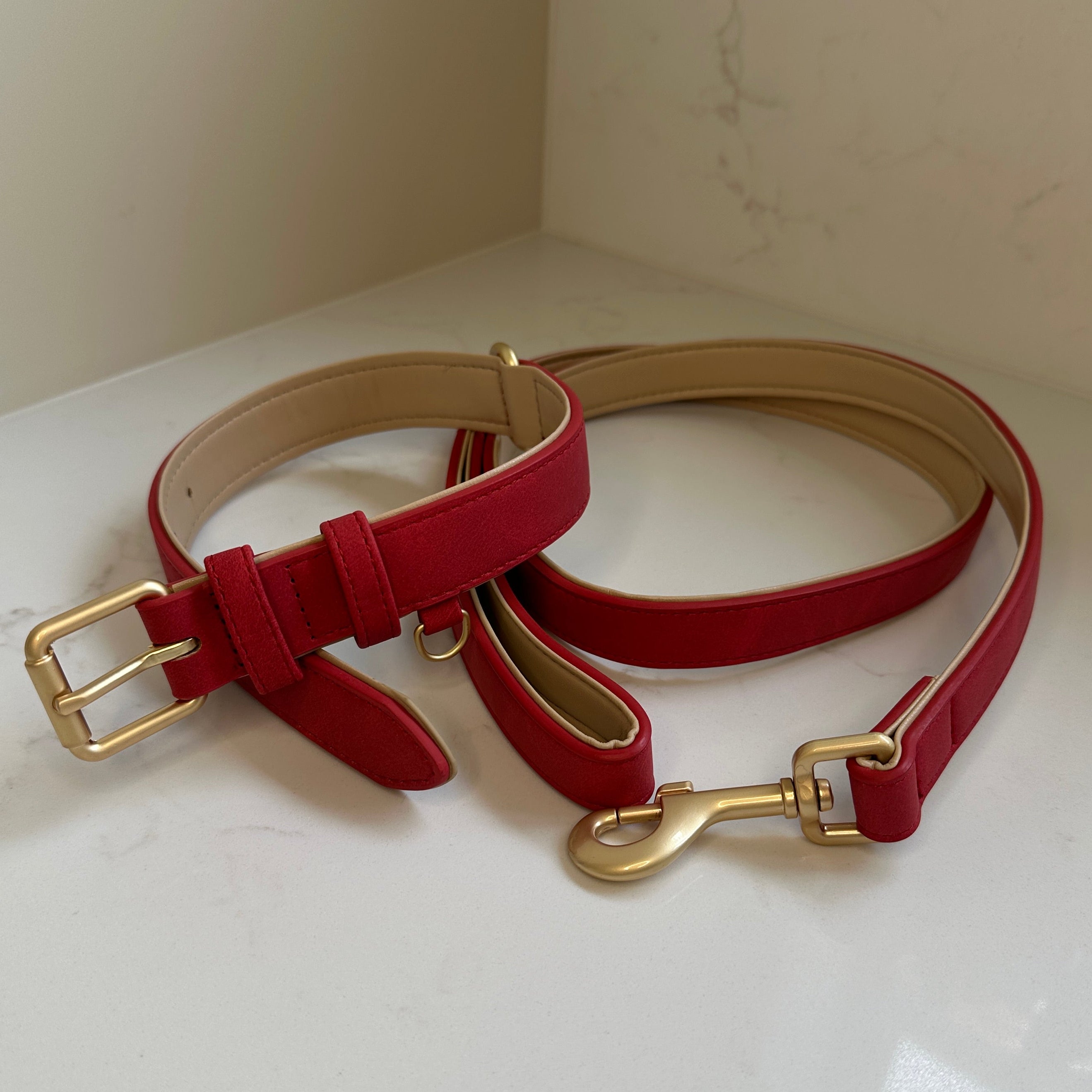 Padded Collar & Lead Set
