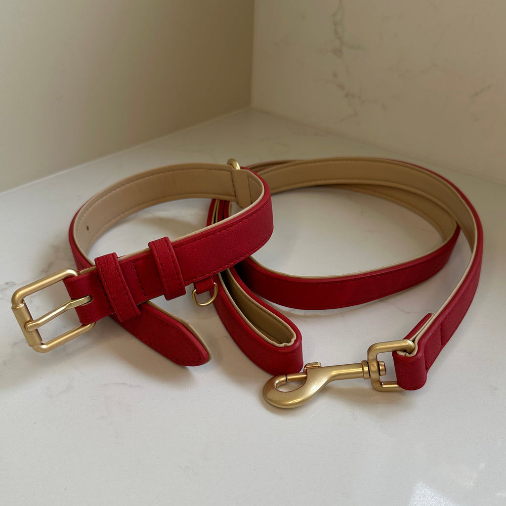 Padded Collar & Lead Set
