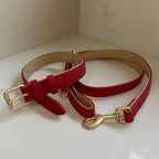 Padded Collar & Lead Set