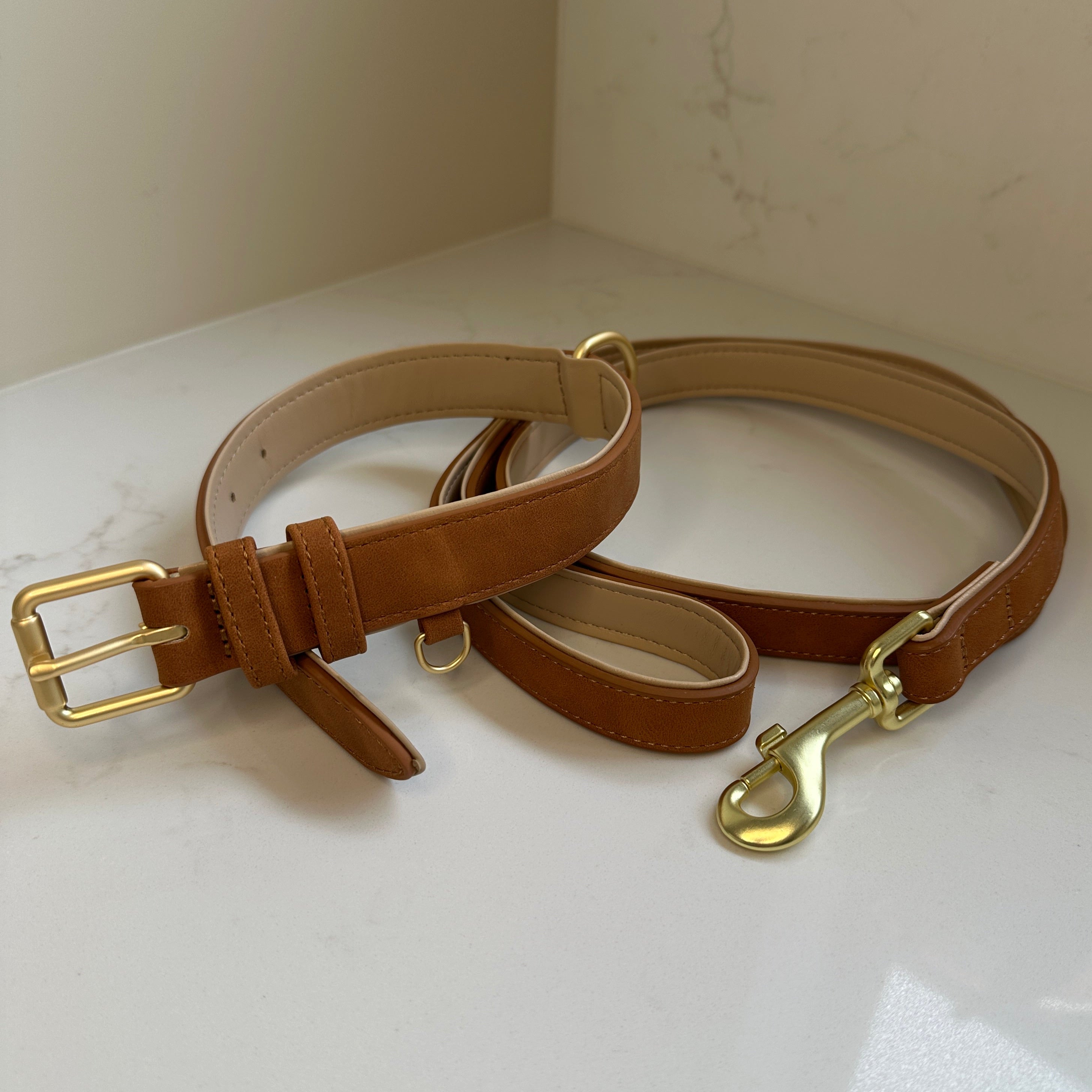 Padded Collar & Lead Set