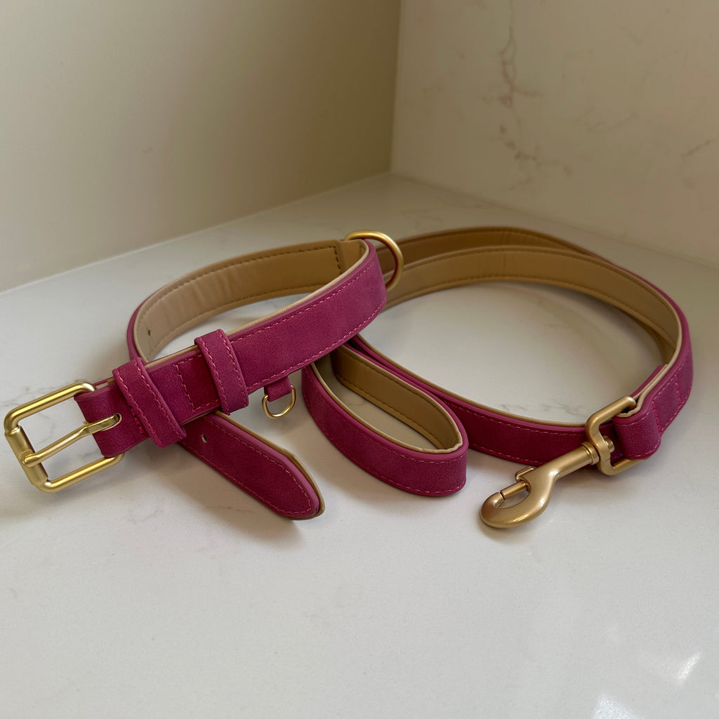 Padded Collar & Lead Set