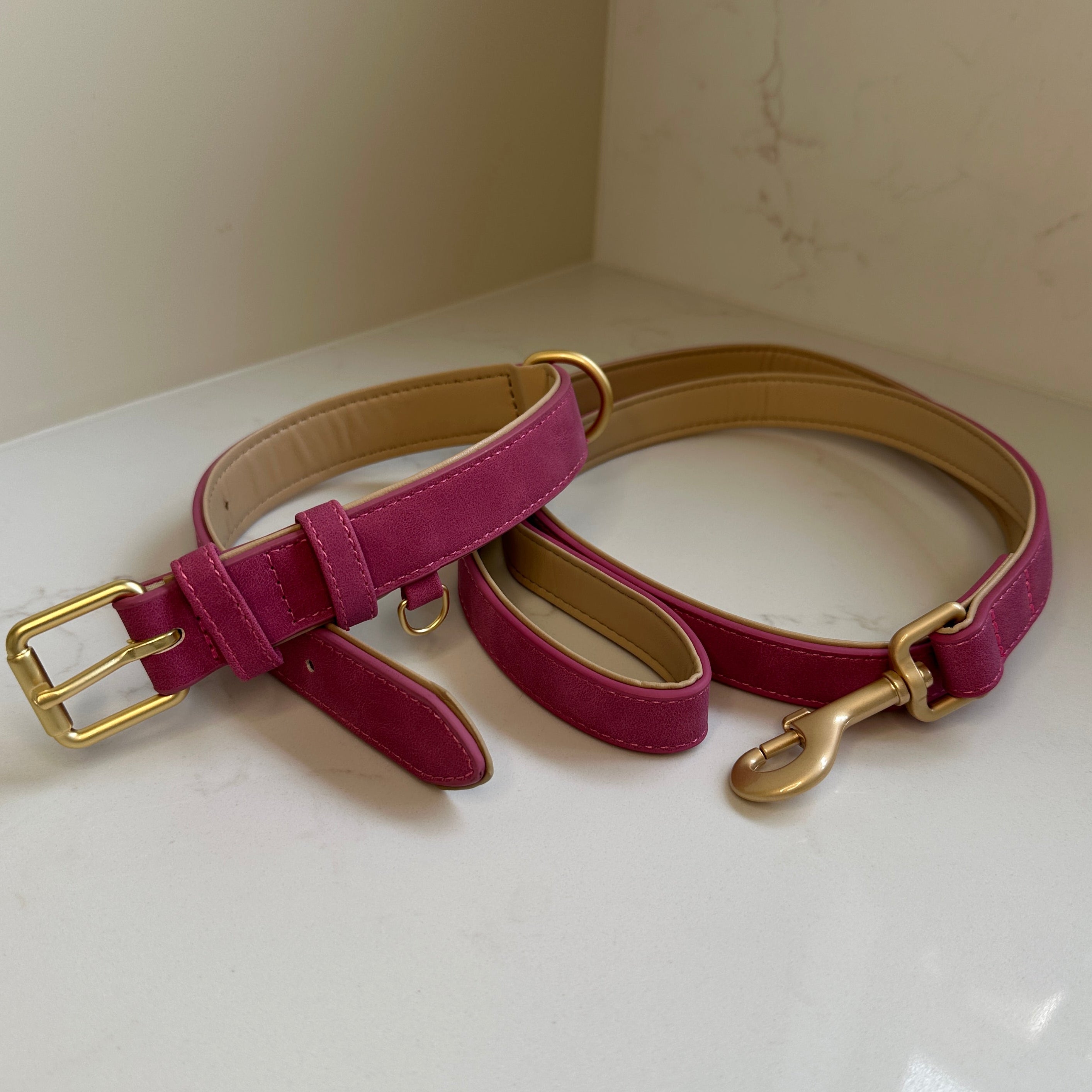 Padded Collar & Lead Set
