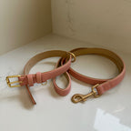 Padded Collar & Lead Set