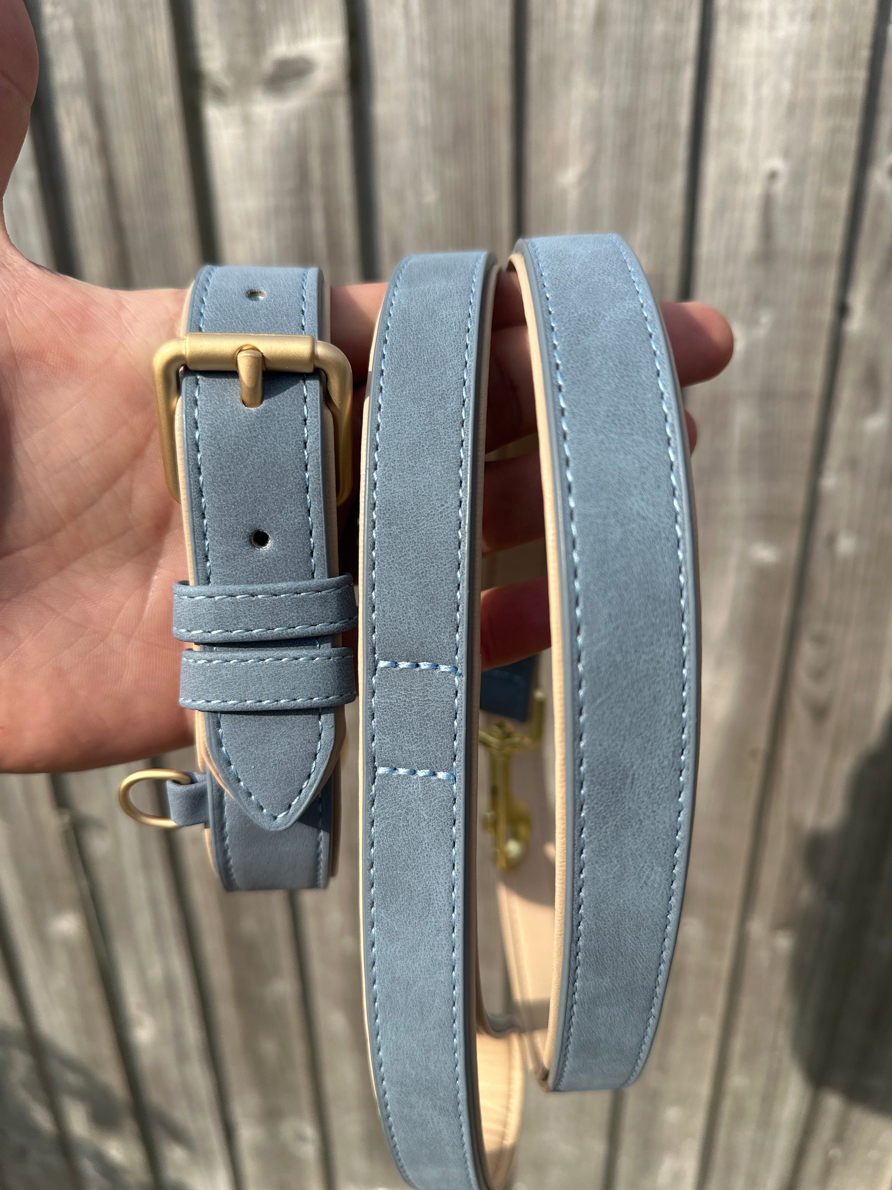 Soft Padded Collar & Lead Set - Blue