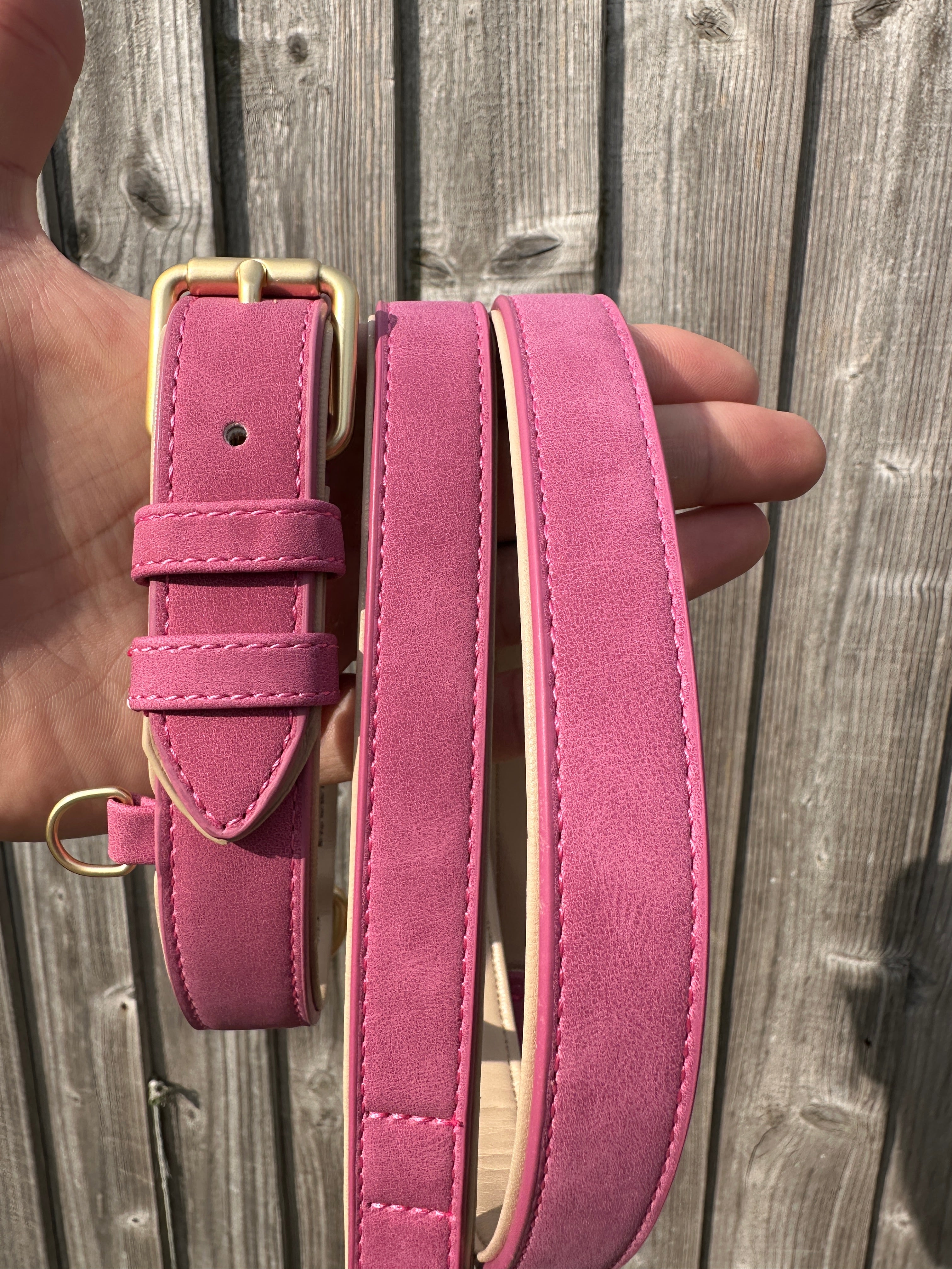 Soft Padded Collar & Lead Set - Rose
