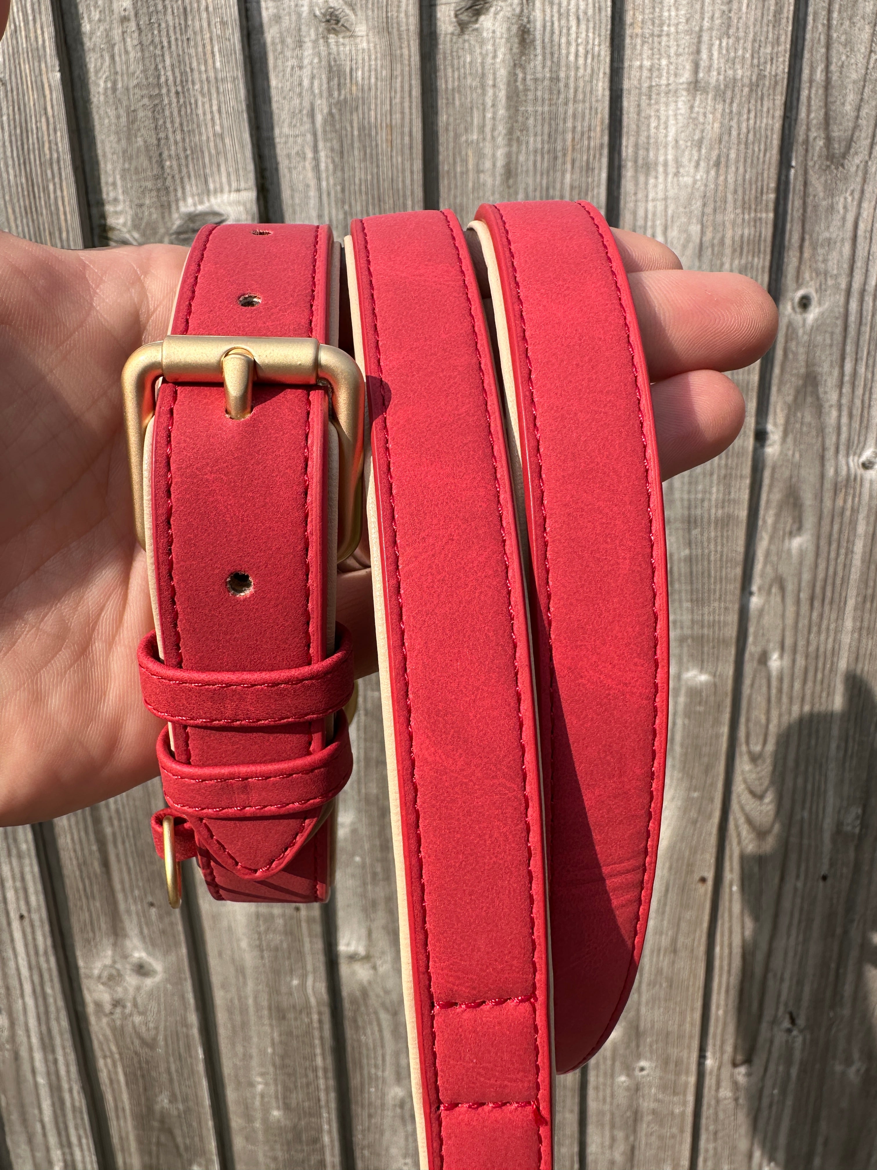 Soft Padded Collar & Lead Set - Red