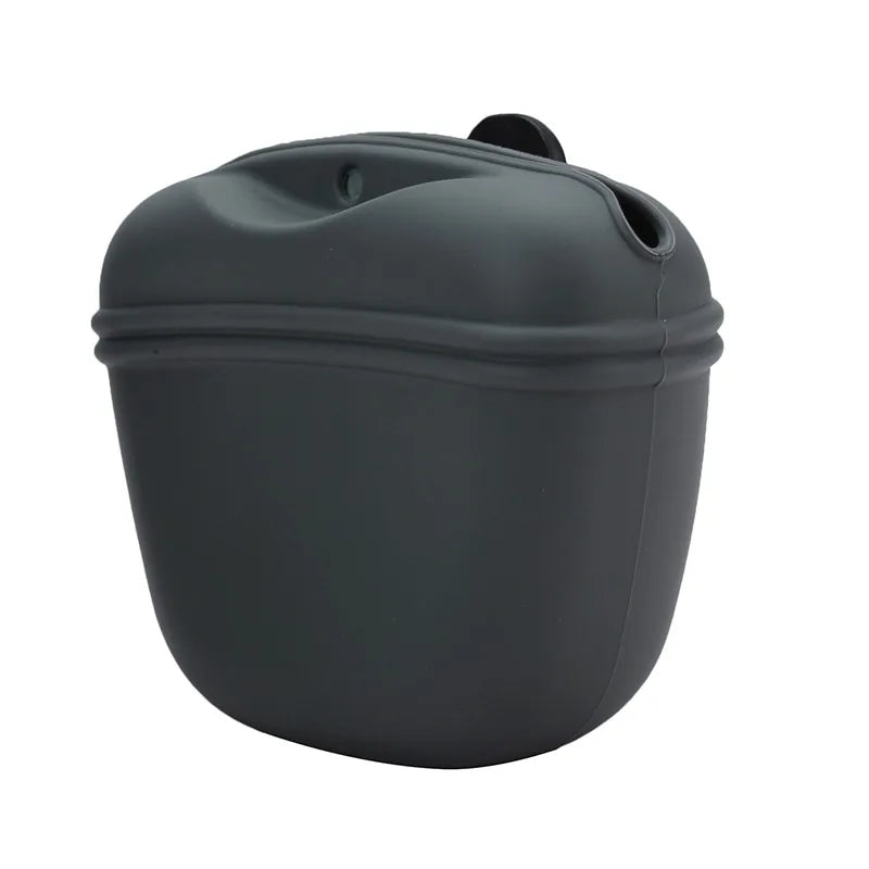 Treat Companion Pouch