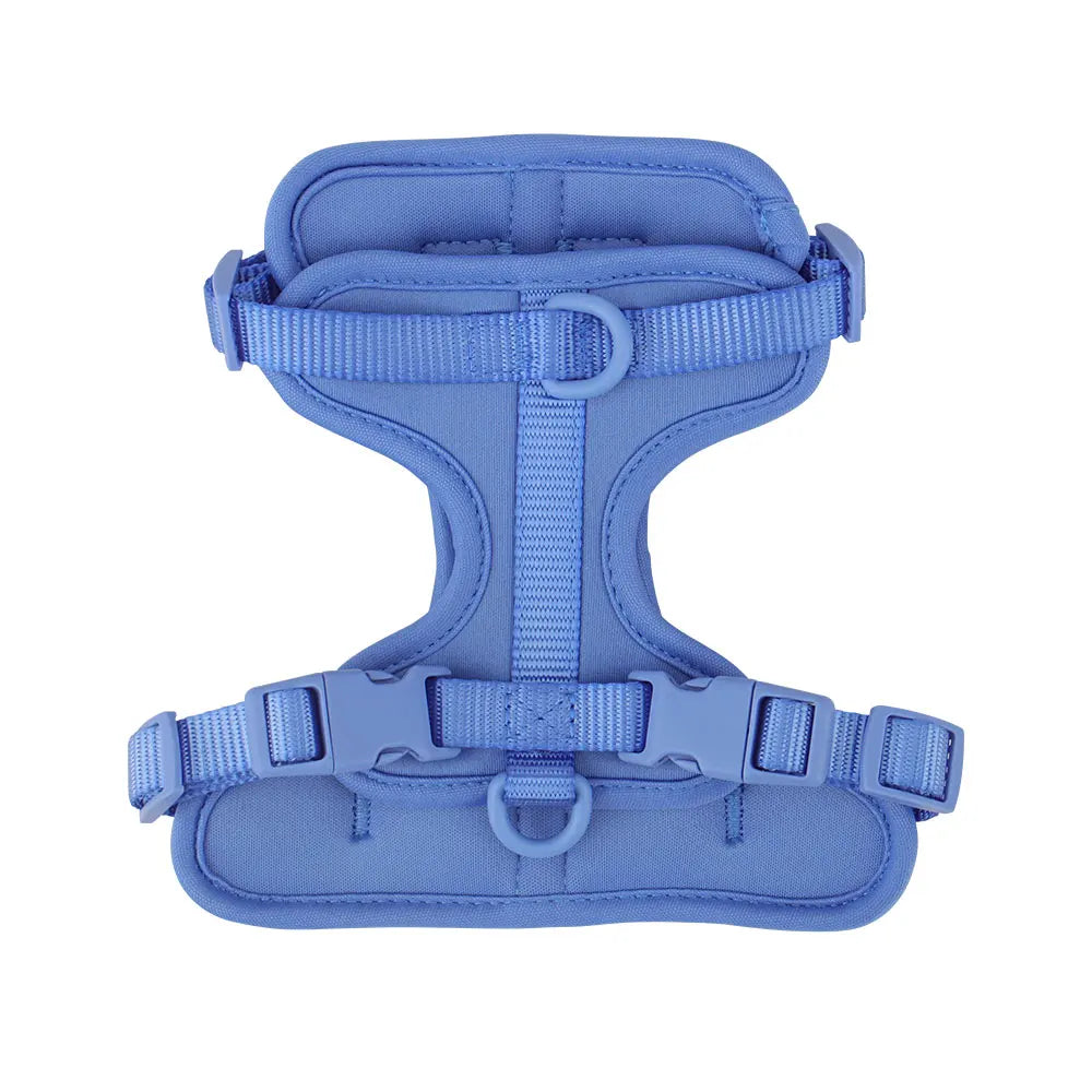 The Explorer Harness - Blue