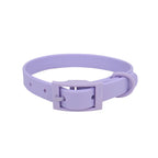 All Weather Collar (Colour Match Buckle) - Purple