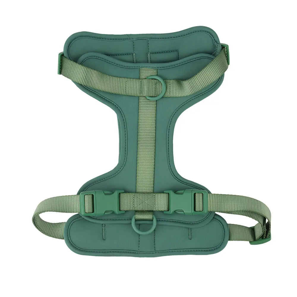 The Explorer Harness