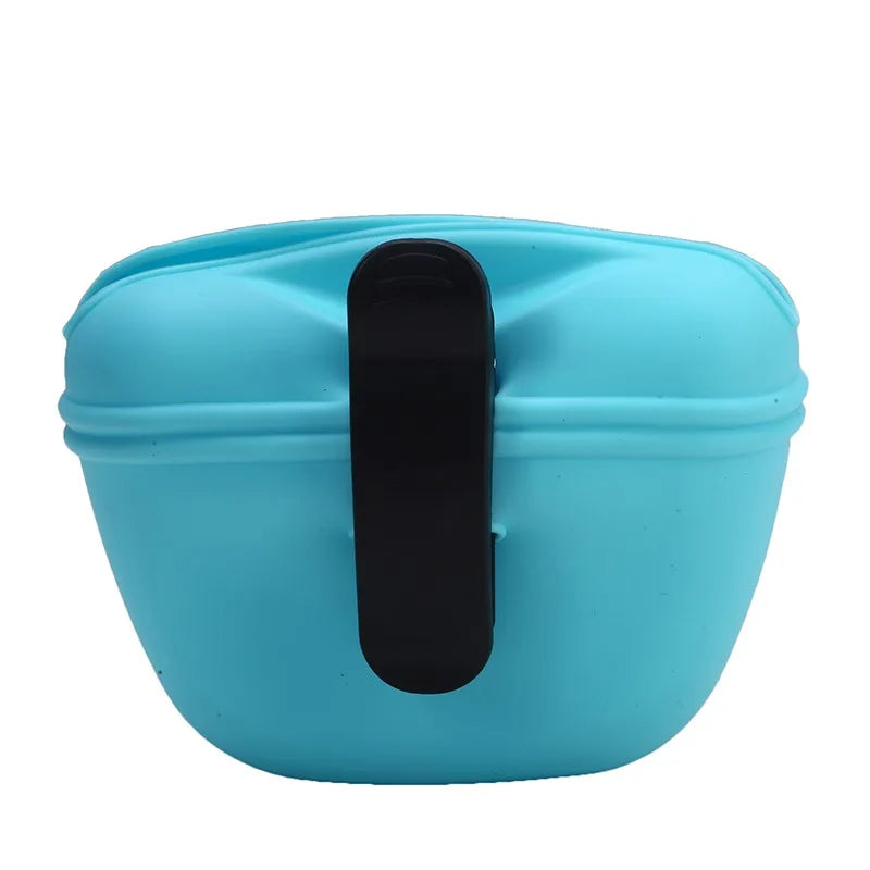 Treat Companion Pouch