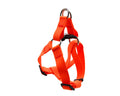 All Weather Harness - Orange
