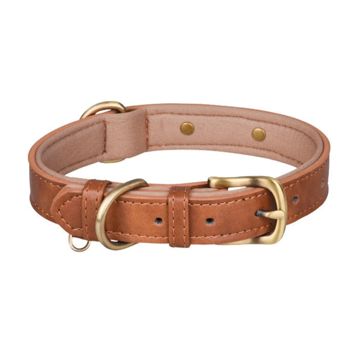 Signature Style Collar - Brown/Tan