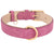 Soft Padded Collar - Rose