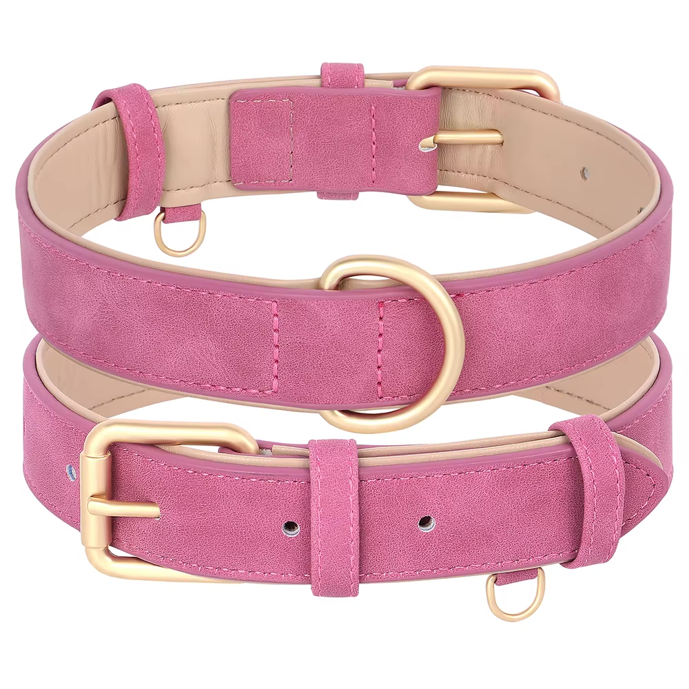 Soft Padded Collar
