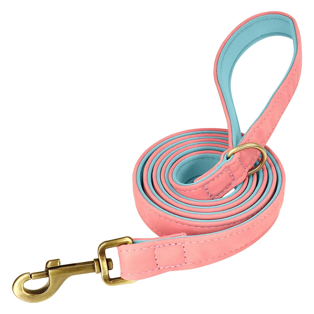 Signature Style Lead