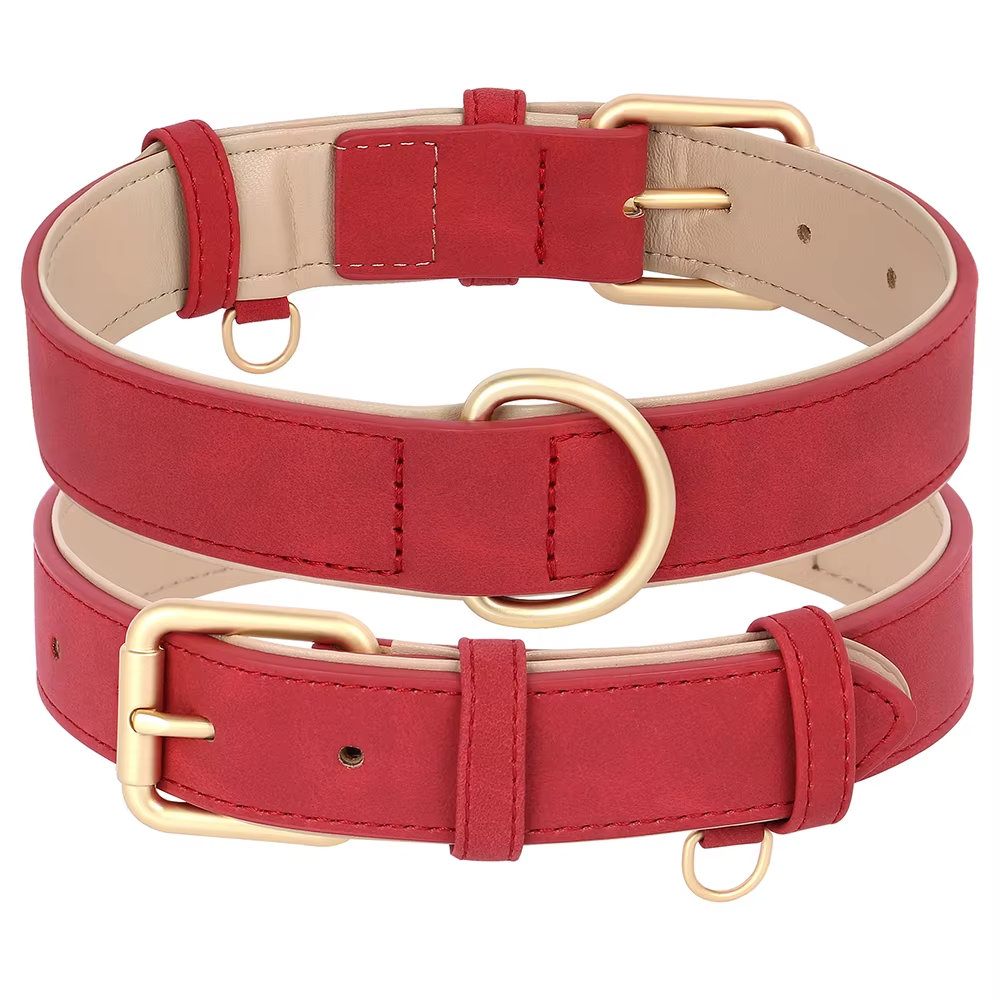 Soft Padded Collar
