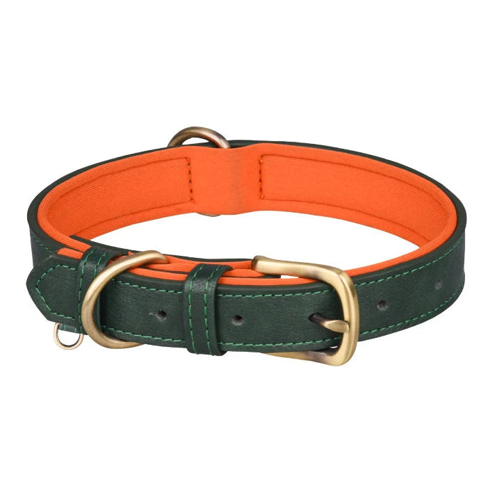 Signature Style Collar - Green/Orange