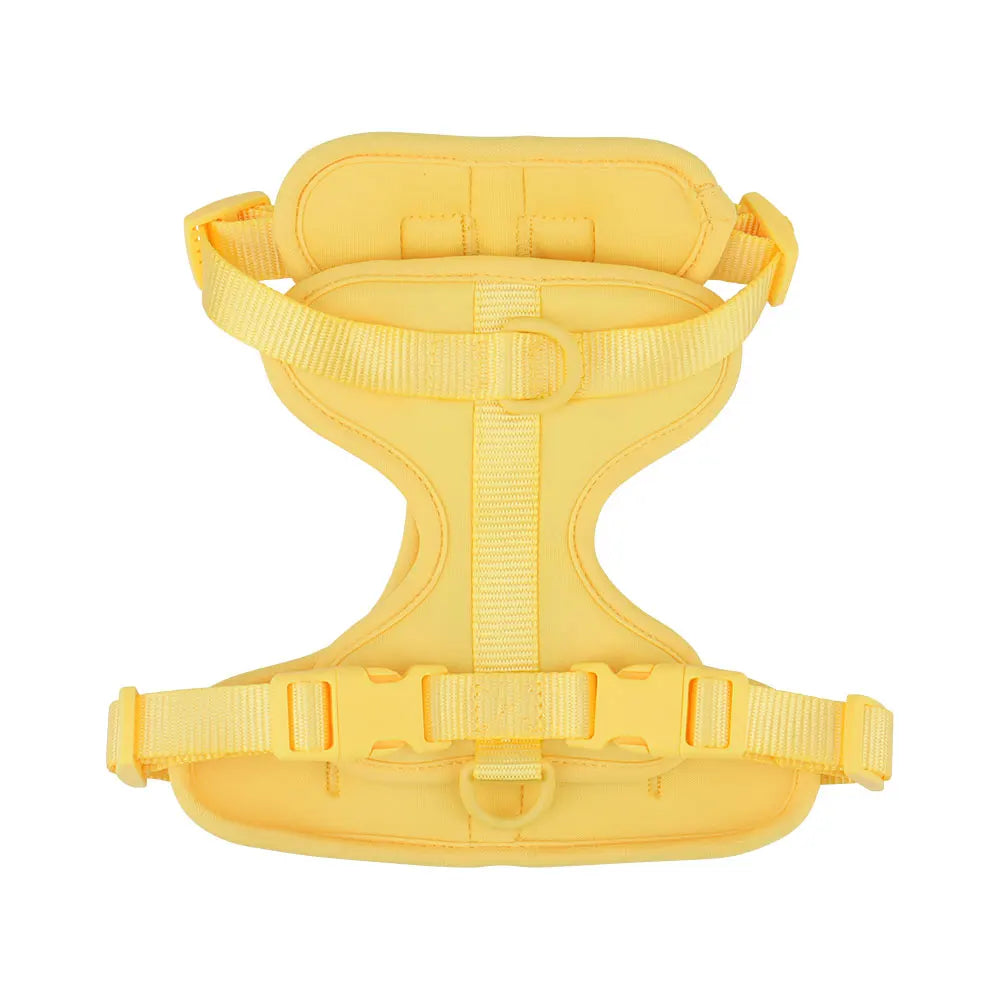 The Explorer Harness - Yellow