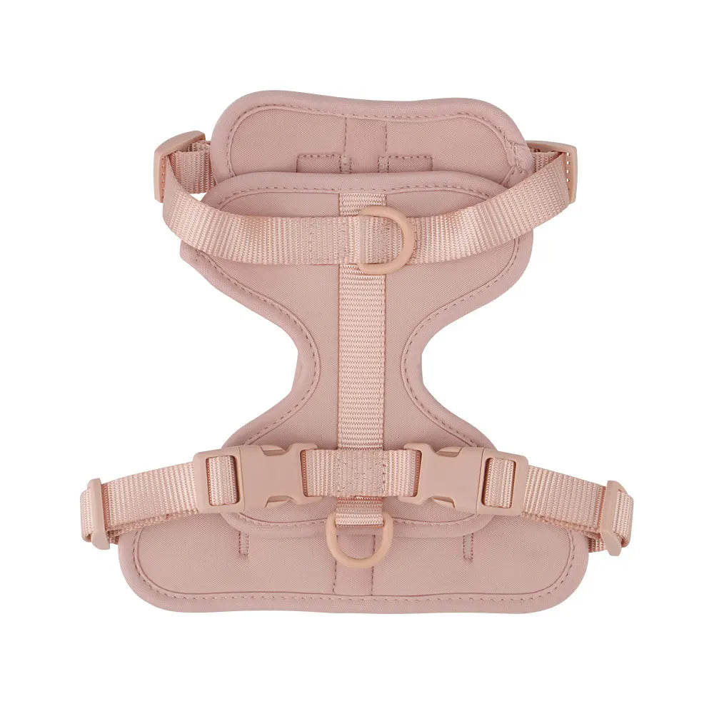 The Explorer Harness