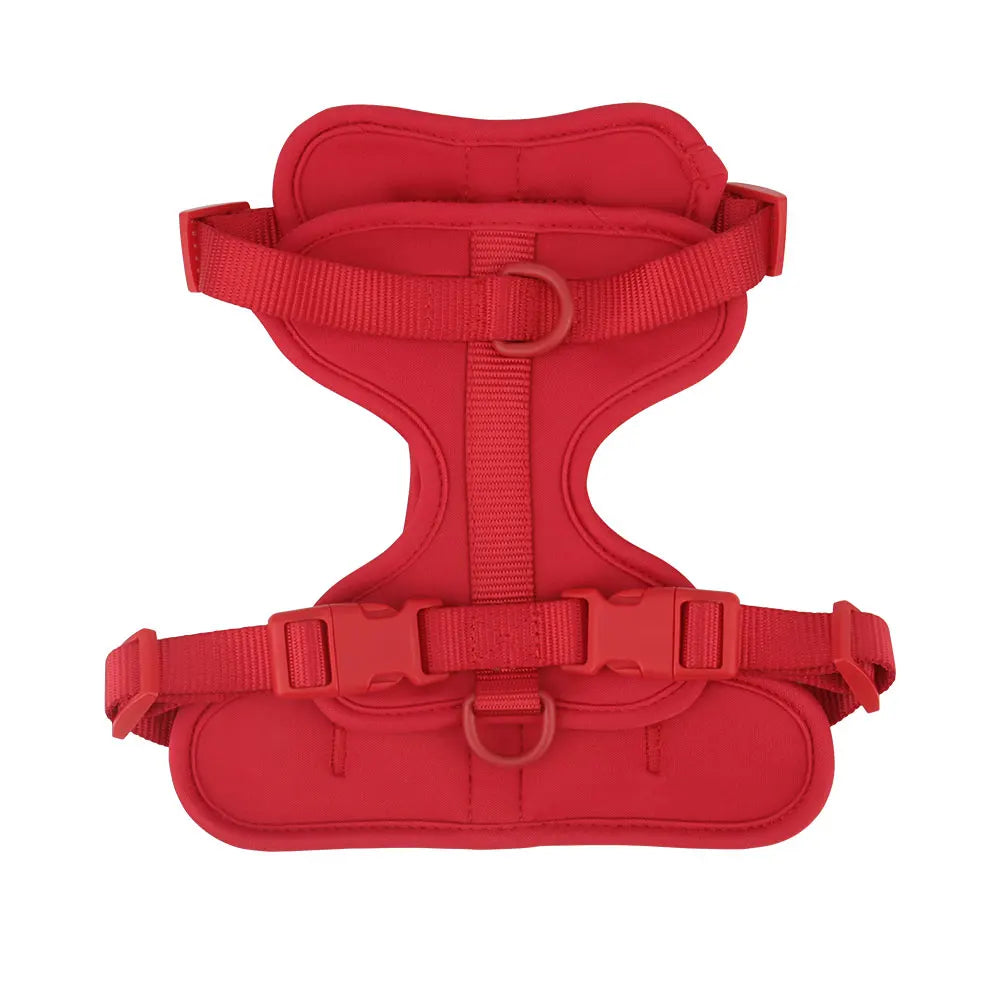 The Explorer Harness