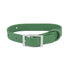 All Weather Collar (Classic Metal Buckle) - Green