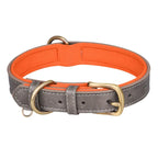 Signature Style Collar - Grey/Orange