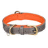 Signature Style Collar - Grey/Orange