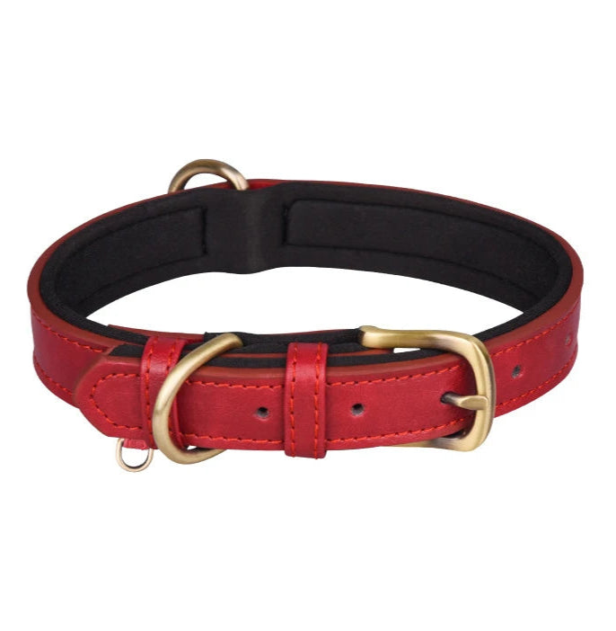 Signature Style Collar