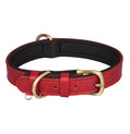 Signature Style Collar