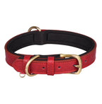 Signature Style Collar