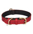 Signature Style Collar