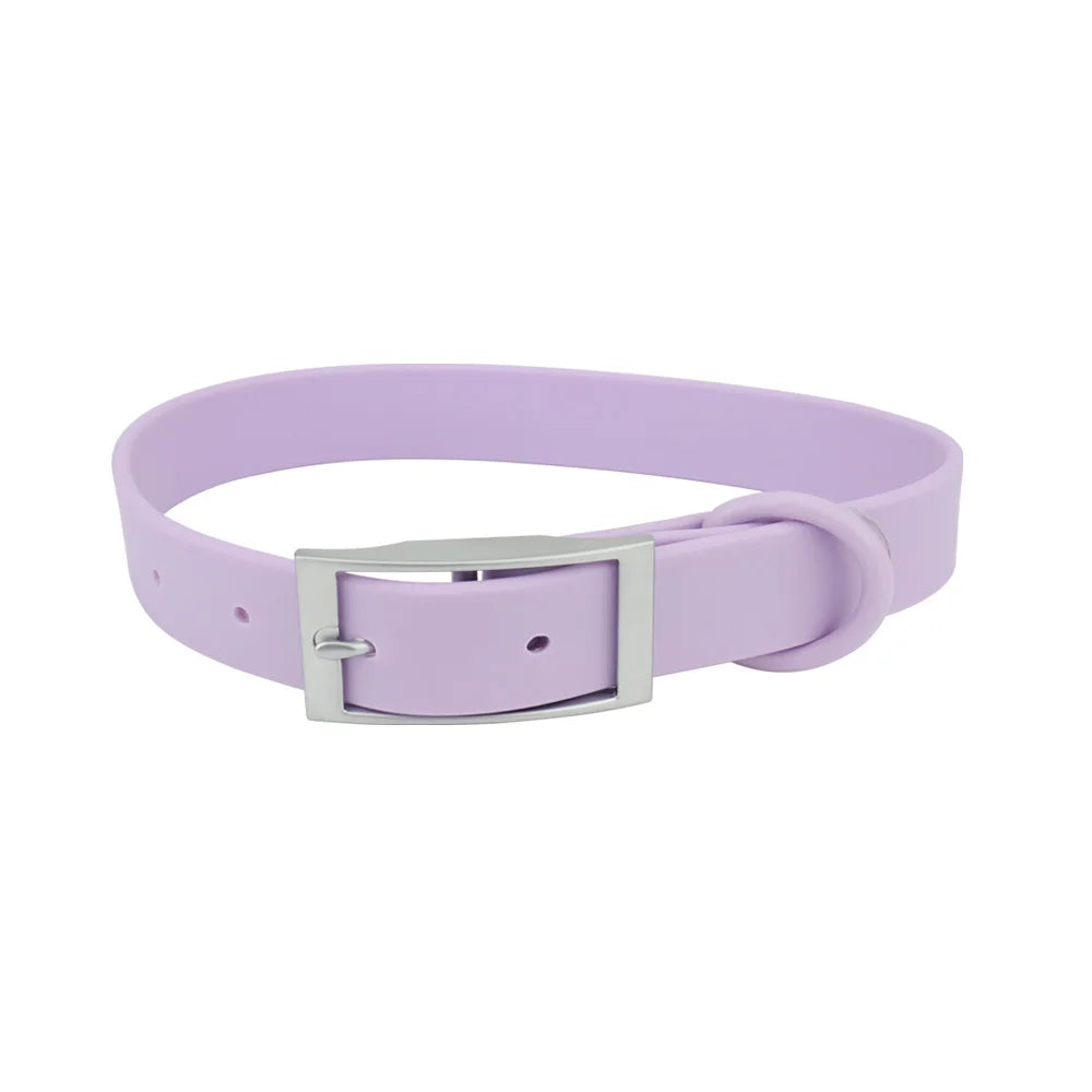 All Weather Collar (Classic Metal Buckle) - Purple
