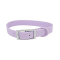 All Weather Collar (Classic Metal Buckle) - Purple
