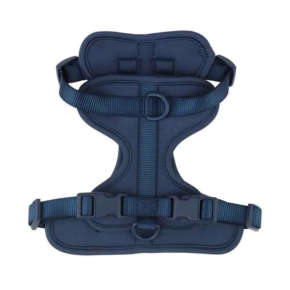 The Explorer Harness