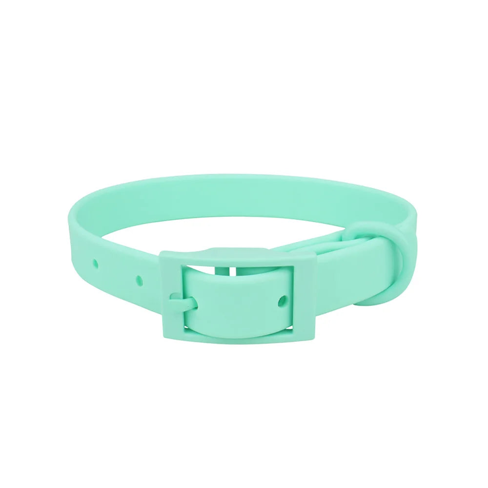 All Weather Collar (Colour Match Buckle) - Turquoise