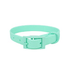 All Weather Collar (Colour Match Buckle) - Turquoise