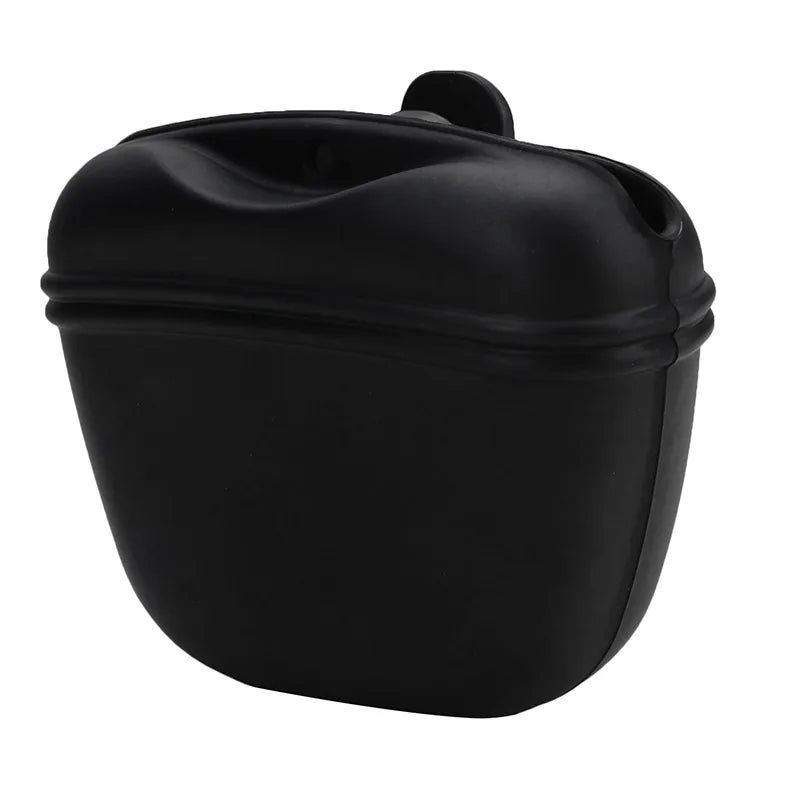 Treat Companion Pouch