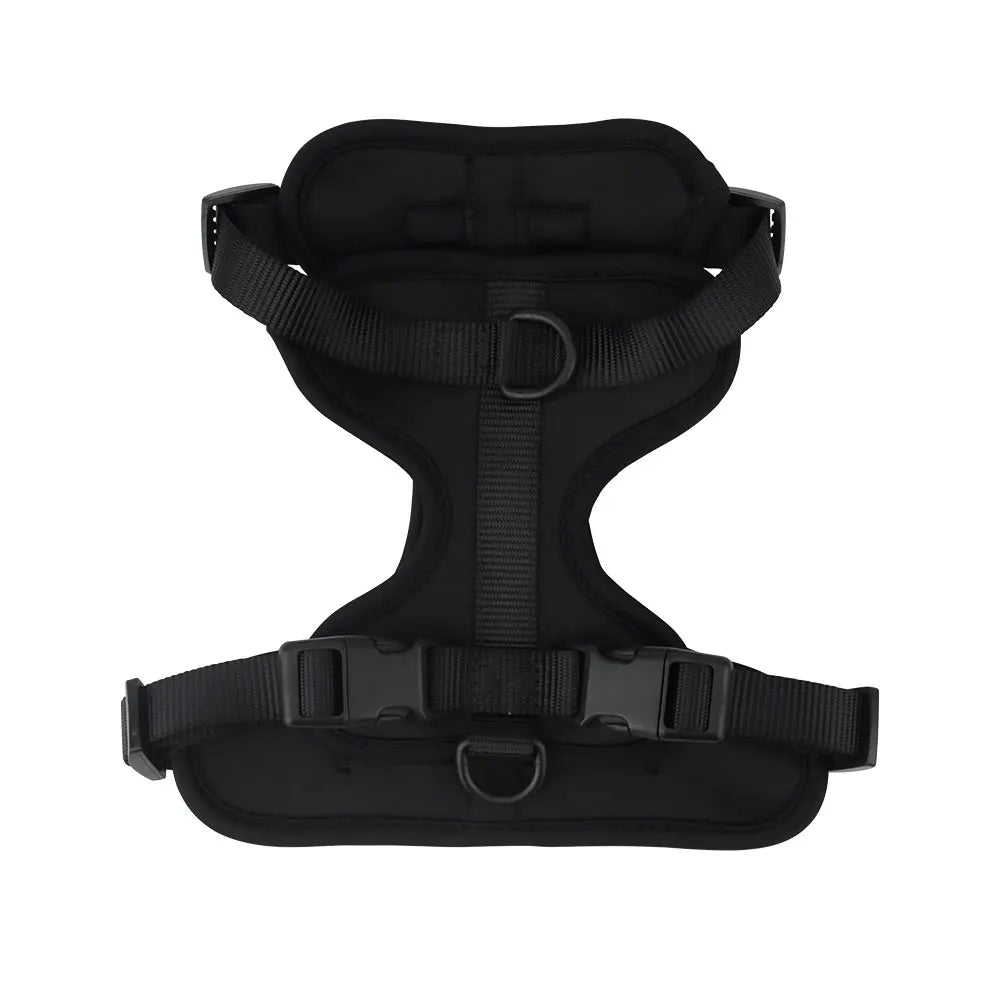 The Explorer Harness - Black