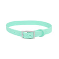All Weather Collar (Classic Metal Buckle) - Turquoise