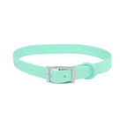 All Weather Collar (Classic Metal Buckle) - Turquoise