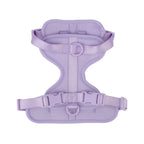 The Explorer Harness - Purple