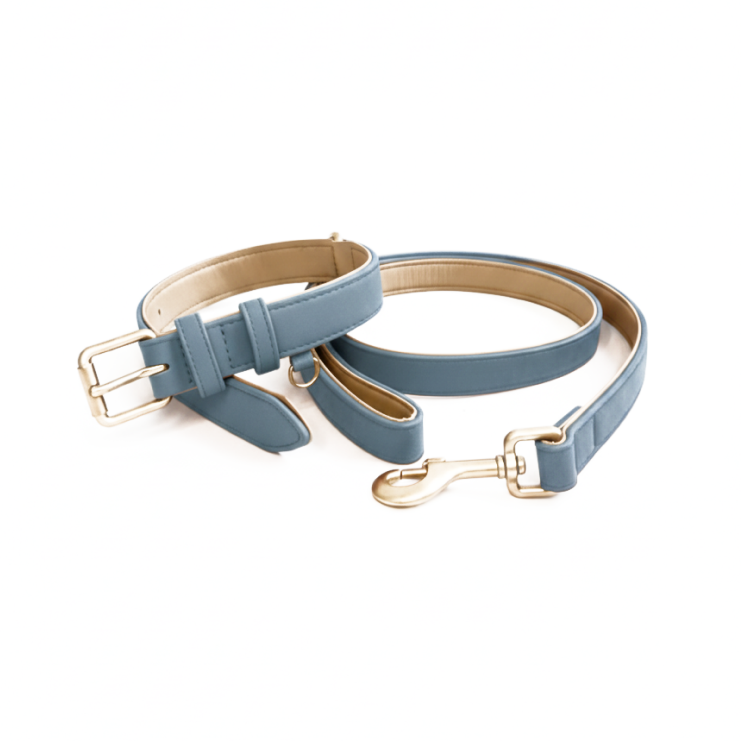 Soft Padded Collar & Lead Set - Blue