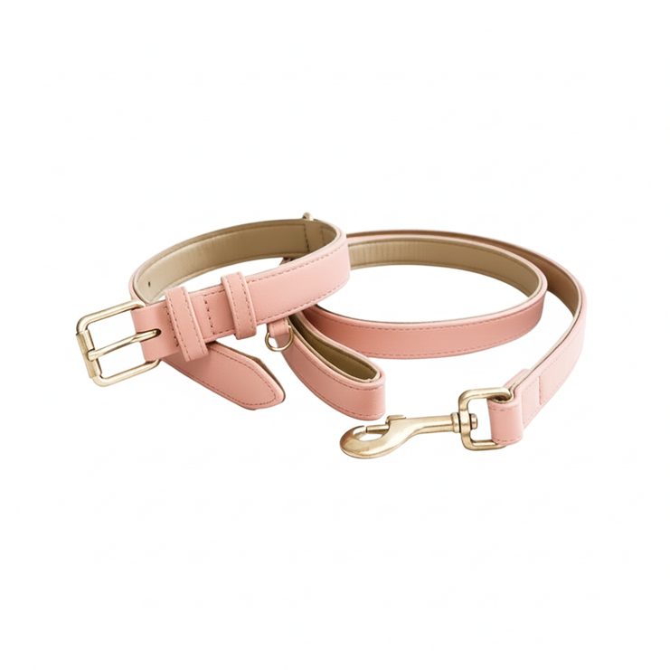 Soft Padded Collar & Lead Set - Pink